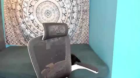 YourVenus00 -Follow my OF online show from 07.02.26