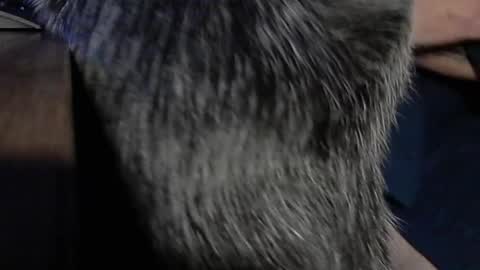 YumGuy69 online show from 09.17.25