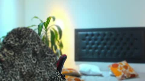 Snapshot of zachpri20 chatting on 09.24.25 zachpri20 online show from 09.24.25