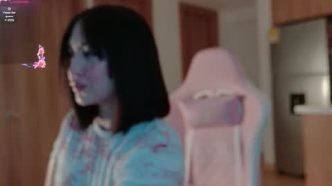 zamila online show from 03.12.26