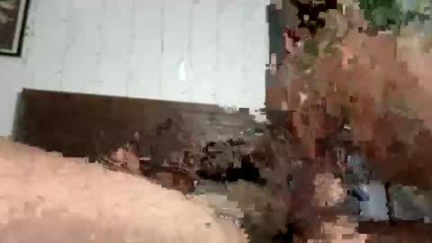 zayden online show from 10.23.25