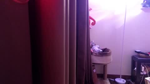 Ziggy ziggy-   online show from 02.02.25