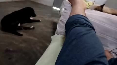 zitojose73 online show from 10.08.25