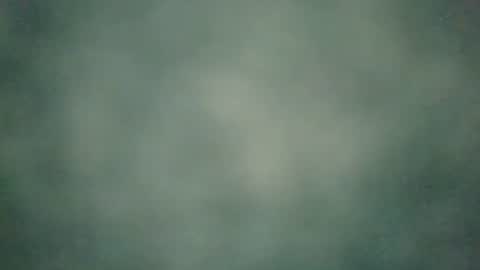 zobilov online show from 12.20.24