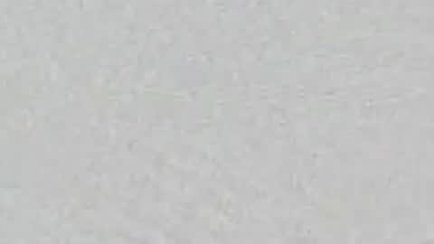 ZOE online show from 06.29.26