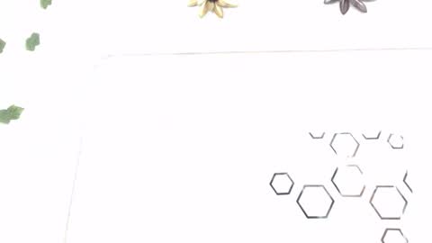 Snapshot of zoe_velvet chatting on 01.12.26 Carolina online show from 01.12.26