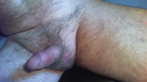 zokalo online show from 02.13.26