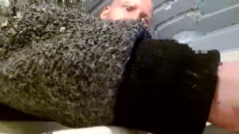 Snapshot of zolexthomas chatting on 01.26.25 zolexthomas online show from 01.26.25