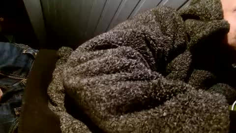 Snapshot of zolexthomas chatting on 02.01.25 zolexthomas online show from 02.01.25