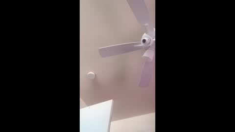 zooted12 online show from 02.19.26