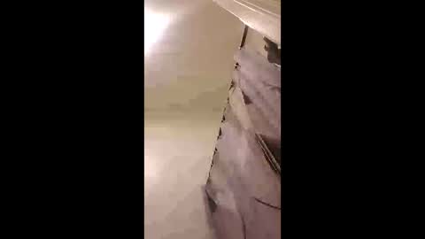 zooted12 online show from 02.24.26