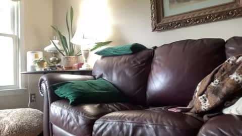 Jesse online show from 06.15.26