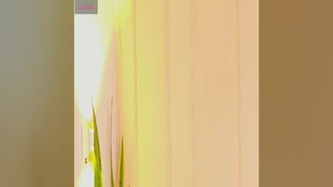 Snapshot of zuzu_sweet chatting on 07.25.26 Zara online show from 07.25.26