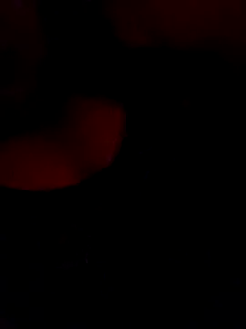 Snapshot of FerLu8 chatting on 02.26.26 FerLu8 online show from 02.26.26