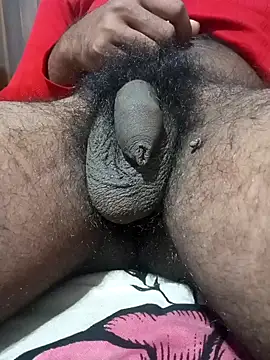 Snapshot of Nishu12356g chatting on 01.13.25 Nishu12356g online show from 01.13.25