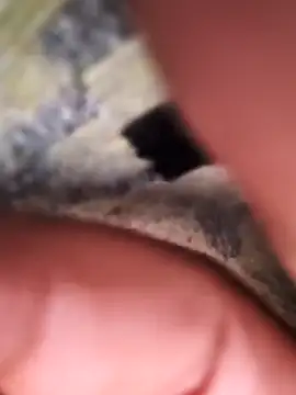 Snapshot of rajstrip12650 chatting on 02.02.25 rajstrip12650 online show from 02.02.25