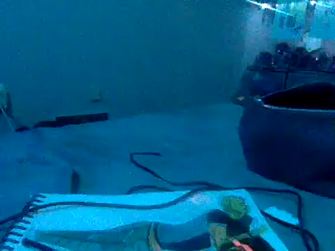 Snapshot of Fr4nk1eFFuxxx chatting on 01.03.25 Fr4nk1eFFuxxx online show from 01.03.25