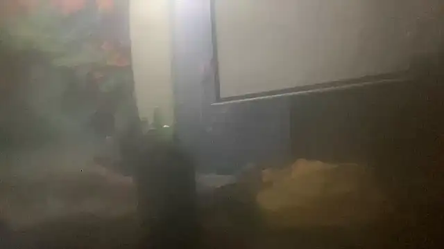 Snapshot of Fr4nk1eFFuxxx chatting on 03.14.26 Fr4nk1eFFuxxx online show from 03.14.26