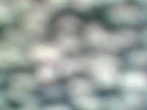 Helennahot online show from 04.21.26