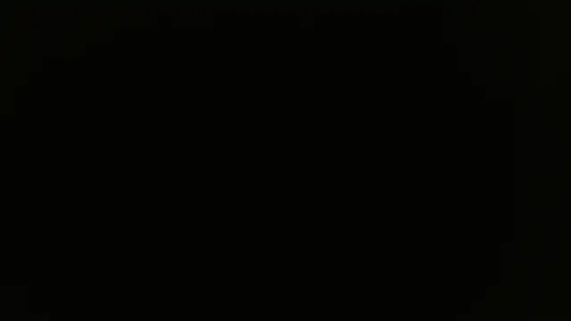 miley jensen online show from 12.19.24