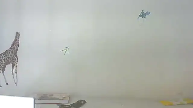 Snapshot of sissyslut22jr chatting on 04.12.26 sissyslut22jr online show from 04.12.26