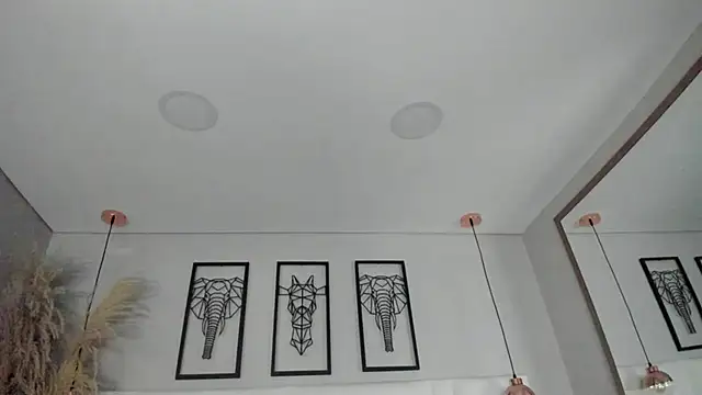 Rebeca jones online show from 11.26.25