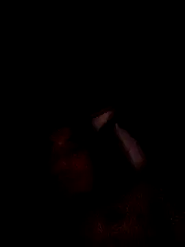 Snapshot of hungpenis210 chatting on 02.23.26 hungpenis210 online show from 02.23.26