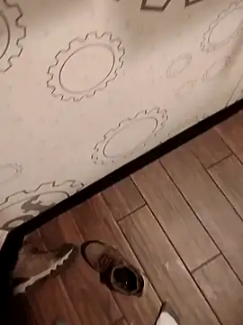 JRock69nKzoo online show from 03.20.26