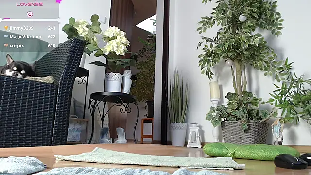 Squirtmania online show from 01.01.25