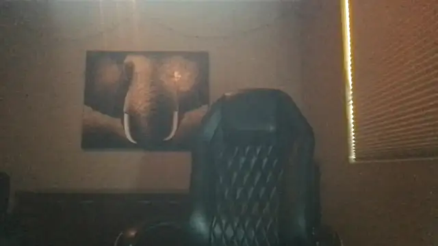 Snapshot of Bwcjoshbanks chatting on 03.30.26 Bwcjoshbanks online show from 03.30.26