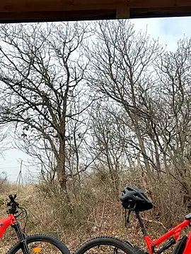 petrouchkaaa  online show from 03.02.26