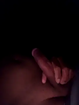 willsafado02 online show from 12.02.25