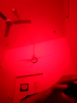 Snapshot of ZIMMY25 chatting on 11.22.25 ZIMMY25 online show from 11.22.25