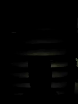 ZIMMY25 online show from 03.31.26