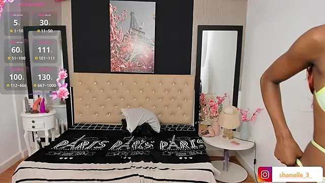 Snapshot of Shanelle__ chatting on 09.29.25 Shanelle online show from 09.29.25