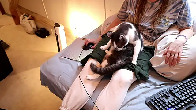 xxpixeyxx online show from 11.29.25