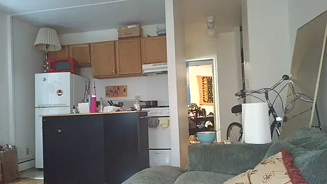 Snapshot of SiminFox chatting on 10.31.25 SiminFox online show from 10.31.25