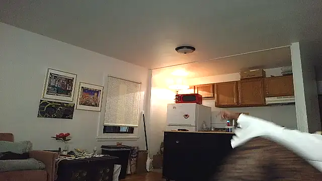 Snapshot of SiminFox chatting on 11.27.25 SiminFox online show from 11.27.25