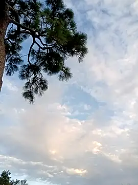 Hotbodyscottie online show from 10.05.25