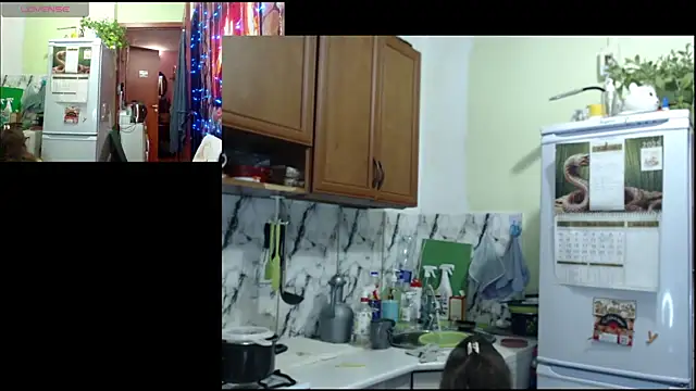 Snapshot of Sakura_Green chatting on 12.22.25 Sakura Green online show from 12.22.25