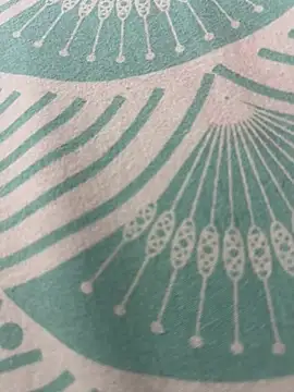 Snapshot of kannadatelugugirl chatting on 01.01.25 kannadatelugugirl online show from 01.01.25