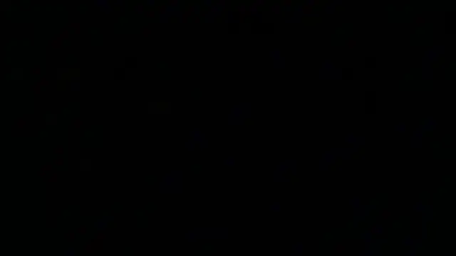 PortraitMarie online show from 02.01.25