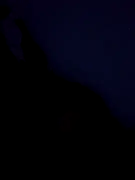 stefanie010 online show from 03.19.26