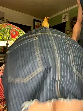 Snapshot of sexyasscougar chatting on 11.29.25 sexyasscougar online show from 11.29.25