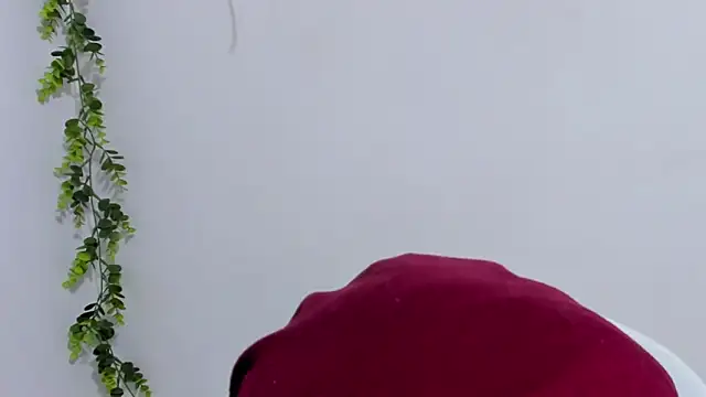 Snapshot of aysel_elid chatting on 01.30.25 aysel elid online show from 01.30.25