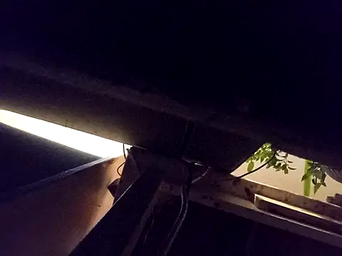 Snapshot of Daminou28 chatting on 10.19.25 Daminou28 online show from 10.19.25