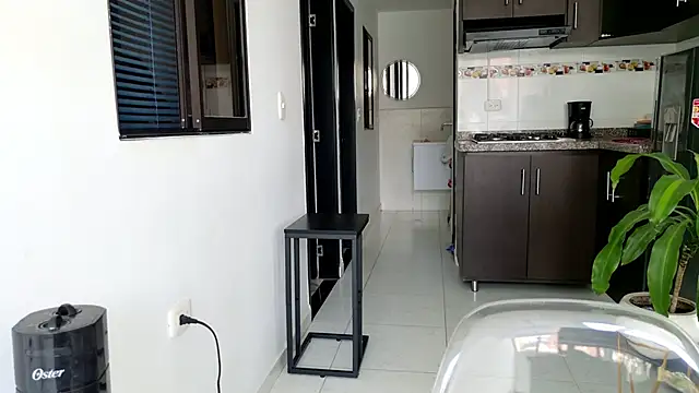 grey   27 online show from 02.28.25