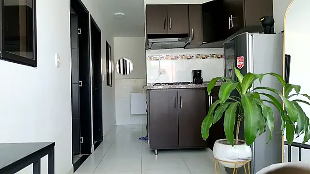 grey   27 online show from 03.06.25