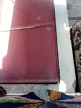 Mamta Chaterjee online show from 03.10.26