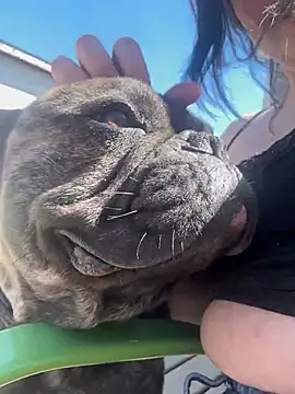 skinwalkingzombie online show from 04.29.26